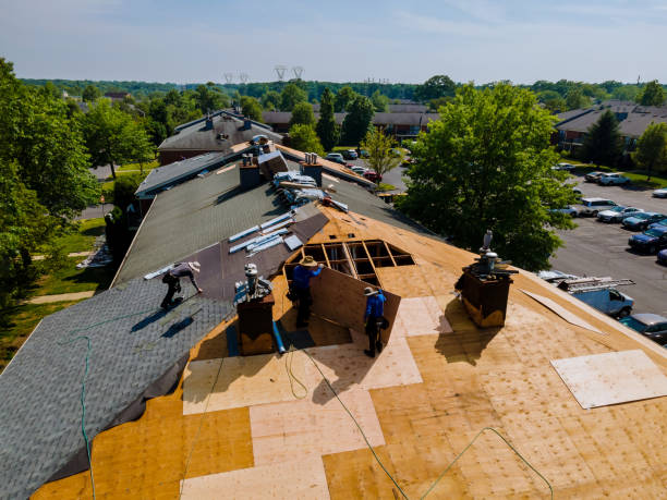 Trusted Roof Replacement service in Burton, SC - Brentwood Metal Roofing